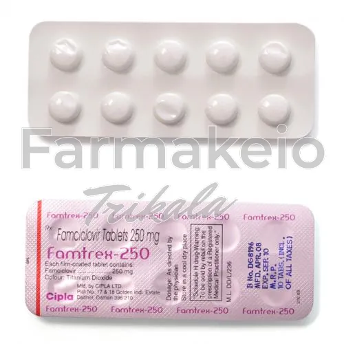 famvir (φαμβίρ)-without-prescription